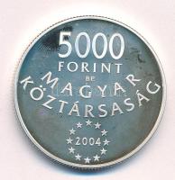 2004. 5000Ft Ag "Magyarország az Európai Unió tagja" T:AU (eredetileg PP) folt Adamo EM190