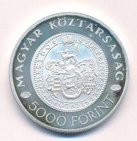 2005. 5000Ft Ag "Bocskai István" T:AU (eredetileg PP) folt Adamo EM199