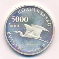 2006. 5000Ft Ag "Fertő kultúrtáj" T:AU (eredetileg PP) folt Adamo EM203