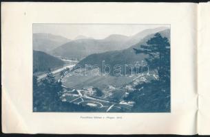 1910 Fenyőháza kincstári gyógyfürdő- és nyaralótelep, ismertető prospektus, borító leszakadt, sérült...