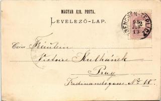 1898 (Vorläufer) Trencsénteplic, Trencianske Teplice; Cursalon / gyógyterem. J. Deutsch kiadása / sp...