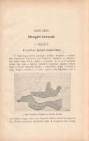 [Bendefy] Benda László: 
A magyar Alföld őstörténete. I-II. kötet. [Teljes mű, egybekötve.]
Kaposv...