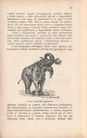 [Bendefy] Benda László: 
A magyar Alföld őstörténete. I-II. kötet. [Teljes mű, egybekötve.]
Kaposv...
