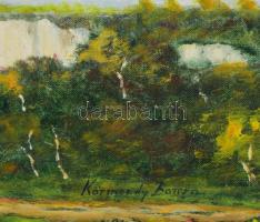 Körmendy-Barcza jelzéssel: Balatoni táj. Olaj, vászon. Dekoratív, kissé sérült fakeretben. 40×56 cm