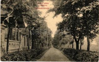 1907 Székesfehérvár, Hosszú sétány a sóstóhoz (EK) + "KERESZTÚR NYARALÓ POSTAI ÜGYN."