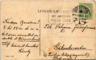 1907 Székesfehérvár, Hosszú sétány a sóstóhoz (EK) + "KERESZTÚR NYARALÓ POSTAI ÜGYN."