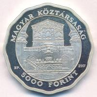 2007. 5000Ft Ag "Debreceni Református Nagytemplom" T:AU (eredetileg PP) folt Adamo EM212