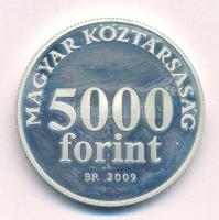 2009. 5000Ft Ag "Radnóti Miklós" T:AU (eredetileg PP) folt Adamo EM220