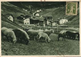 Unterengstringen  sheep-farm (fa)