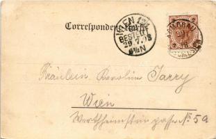 1898 (Vorläufer) Opava, Troppau; Grenzmühle, Hell'sche Mühle und Liebel's Seifenfabrik, Ja...