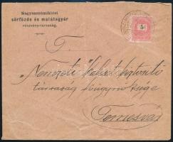 1896 Levél N.-SZ.-MIKLÓS - TEMESVÁR mozgóposta bélyegzéssel / Cover with railway postmark