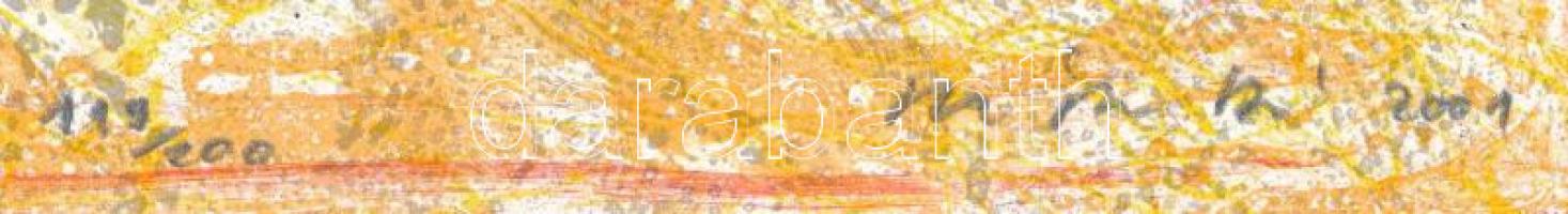 Kovács Péter Balázs (1955-): Conference. Lito-ofszet, papír, jelzett, számozott (119/200), 23x29 cm....