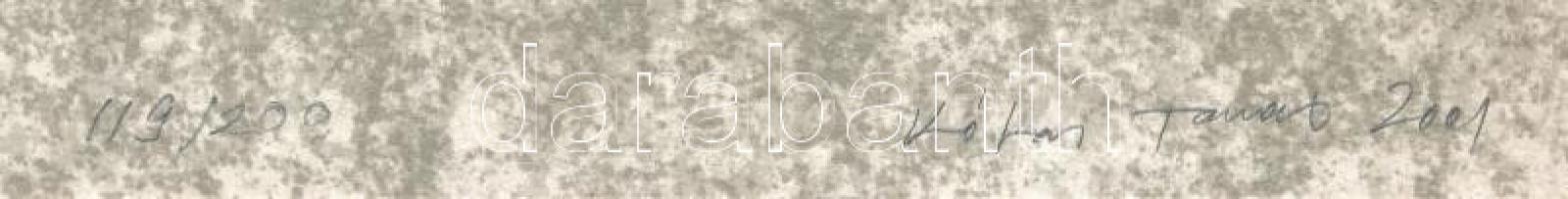 Kótai Tamás (1959-): Rajz. Lito-ofszet, papír, jelzett, számozott (119/200), 29x23 cm. A 2001-ben me...