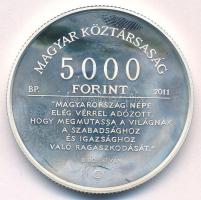 2011. 5000Ft Ag "Bibó István születésének 100. évfordulója" T:AU (eredetileg PP) folt Adam...