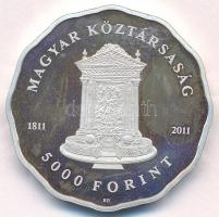 2011. 5000Ft Ag "A Deák téri Evangélikus Templom" T:AU (eredetileg PP) folt Adamo EM240