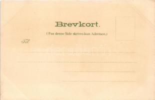 Gjövik, Gjovik; Victoria Hotel O. Paulsen. Art Nouveau, floral, litho (EK)