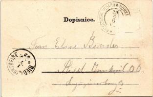 1902 Horka u Staré Paky, Falgendorf; Pozdrav ze stanice Horka-Vydochov, Tovarna na cikorii Jos, Berg...