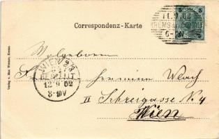 1902 Krems an der Donau, general view. Art Nouveau, litho frame (EB)