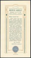 cca 1900-1910 Kassa, Werfer Károly kir. akadémiai kő- és könyvnyomdai műintézet dekoratív reklámprospektusa, benne a Kaschauer Zeitung c. újság hirdetése, jó állapotban, hátoldalán ragasztásnyomokkal, 24x12,5 cm