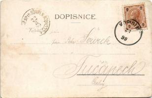 1899 (Vorläufer) Kopidlno, Copidlen; Zámek Hrab. Erv. Slika, Stanice C.O.D. 1881, Radnice, Znak Mest...