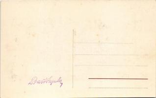 Versec, Werschetz, Vrsac; Városi múzeum és könyvtár, belső / museum and library interior