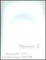 cca 1995 Menesdorfer Lajos (1941-2005) budapesti fotóművész hagyatékából, feliratozott, vintage fotó...