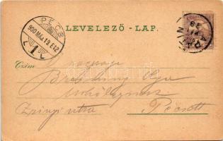 1900 Apatin, Fő utca, Weindl háza, Hangszergyár, belső munkásokkal, Polgári kaszinó, Mayer háza. Sch...