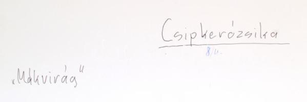 cca 1991 Menesdorfer Lajos (1941-2005) budapesti fotóművész hagyatékából, jelzés nélküli, vintage fo...