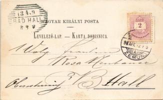 1898 (Vorläufer) Zimony, Semlin, Zemun; Art Nouveau, floral, litho