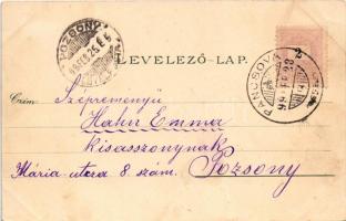 1899 (Vorläufer) Pancsova, Pancevo; látkép, M. kir. állami felső kereskedelmi iskola, Katona kórház,...