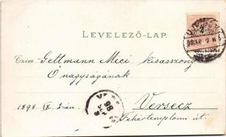 1898 (Vorläufer) Újvidék, Novi Sad; Pétervárad vár, Erzsébet tér, Központi hitelintézet, Központi sz...