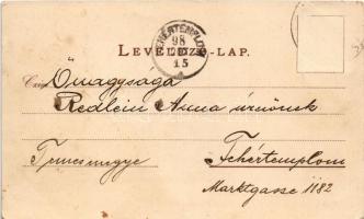 1898 (Vorläufer) Zenta, Senta; Községi főgimnázium, városháza. Straub Ödön kiadása, Rigler részv. tá...