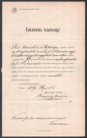 1869 Pest, Kacziány Nándor pesti sajtóügyi vizsgálóbíró felhívása Versec sz. kir. város közönségéhez, az Aranytrombita c. lap 1869. évi 16. számában megjelent, "Az országgyűlés megnyitása" c. cikkben elkövetett sajtóvétség miatt a szóban forgó szám zár alá vételéről, példányainak lefoglalásáról. Kacziány Nándor (1822-1908) sajtóügyi vizsgálóbíró, később budai királyi törvényszéki bíró, 1848-49-es honvédszázados aláírásával, viaszpecséttel.