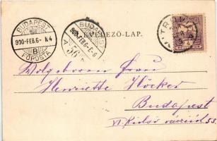 1900 Szávaszentdemeter, Mitrovice, Mitrovitz an der Save, Sremska Mitrovica; Srpski Dom, Haupt Platz...