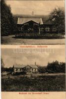 1914 Árpatarló, Ruma; Herrschaftshaus Hofansicht, Molkerei der Herraschaft / Uradalom kastélya és tejüzeme / castle and dairy farm of the manor (fl)