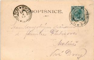 1902 Sadská, Vchod do lázni, Kostel sv. Apolináre, Nádrazi, Cukrovar s okolim / spa entrance, church...