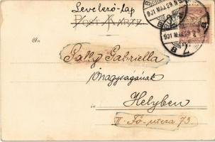 1901 Flowers, Edelweiss. Farbenlichtdruck v. Martin Rommel & Co. (EK)