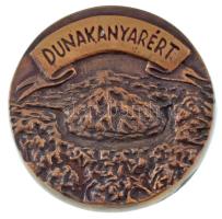 DN "Dunakanyarért" bronz emlékérem eredeti tokban (81mm) T:AU