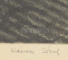 Kórusz József (1927-2010): Dunapart tehenekkel. Rézkarc, papír, jelzett, számozott (75/100). Dekorat...