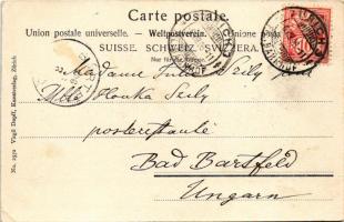 1906 Thalwil, general view (EK)