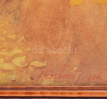 - 
Mészáros Jenő (1883-?): Őszi erdő. Akvarell, papír. Jelzett, üvegezett keretben 48x35 cm