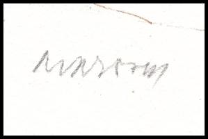 Ülvashatatlan jelzéssel: Modern virágok. Nyomat, papír, jelzett 27x17 cm