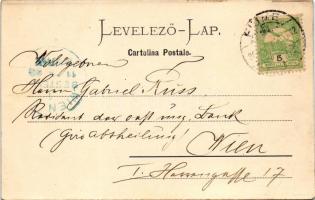 1904 Fiume, Rijeka; Piazza Elisabetta, Farmacia, Sachs-Reich / square, pharmacy, shops. Dep. J. Eine...