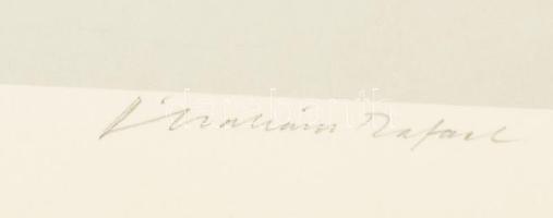 Ábrahám Rafael (1929-2014): Tisztelet Dürernek V. Ofszet, papír, jelzett. 40x26 cm