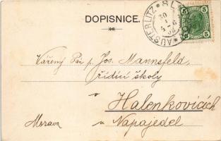 1908 Vukovár, Eugen Kamenár redtel gymnasia a místopredseda vcelarského spolku. Tiskl Ant. Okác v Kr...