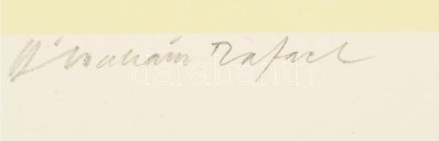 Ábrahám Rafael (1929-2014): Tisztelet Dürernek VI. Ofszet, papír, jelzett. 40x26 cm