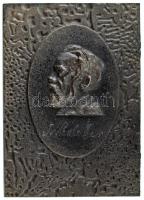 DN Balra néző szakállas férfit profilból ábrázoló öntött Fe plakett, cirillbetűs(?) szöveggel (95x133mm) T:AU ND Cast Fe plaque depicting a bearded man facing left in profile, with Cyrillic(?) text (95x133mm) C:AU