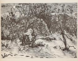 Gy. Szabó Béla: Hónapok. Gy. Szabó Béla (1905-1985) fametszetei. (Kolozsvár, 1973), Dacia. Kiadói pa...