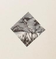 Gy. Szabó Béla: Hónapok. Gy. Szabó Béla (1905-1985) fametszetei. (Kolozsvár, 1973), Dacia. Kiadói pa...