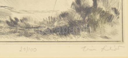 Iván Szilárd (1912-1988): Belső-tó (Balaton). Rézkarc, papír, jelzett, számozott (20/100), üvegezett...